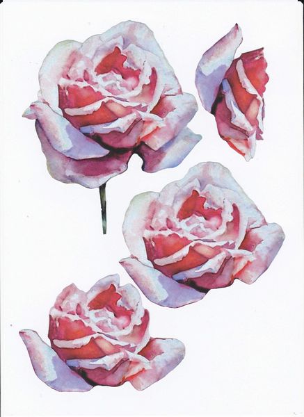 Pink Rose Set - 19 x A4 sheets to DOWNLOAD